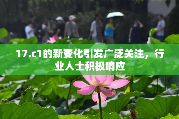 17.c1的新变化引发广泛关注，行业人士积极响应