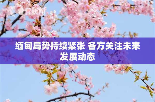 缅甸局势持续紧张 各方关注未来发展动态