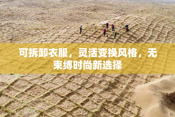 可拆卸衣服，灵活变换风格，无束缚时尚新选择