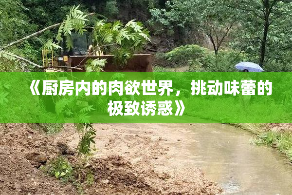 《厨房内的肉欲世界，挑动味蕾的极致诱惑》