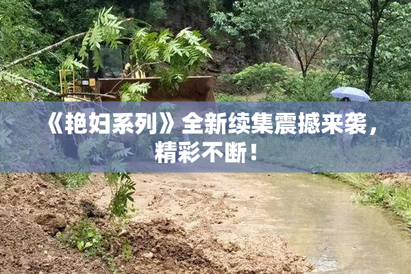 《艳妇系列》全新续集震撼来袭，精彩不断！