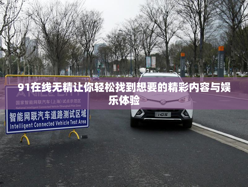 91在线无精让你轻松找到想要的精彩内容与娱乐体验