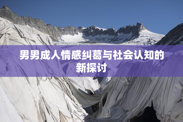 男男成人情感纠葛与社会认知的新探讨
