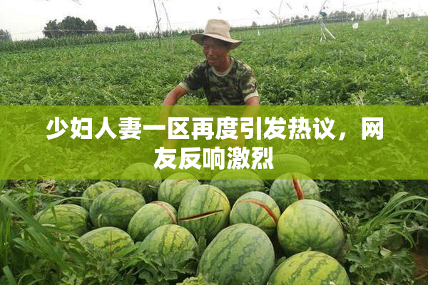 少妇人妻一区再度引发热议，网友反响激烈