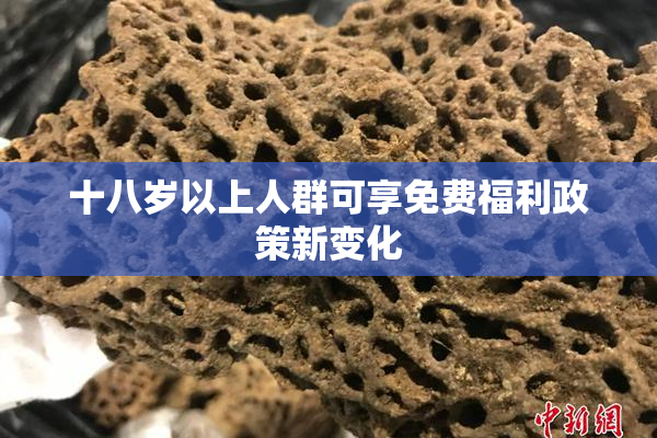 十八岁以上人群可享免费福利政策新变化