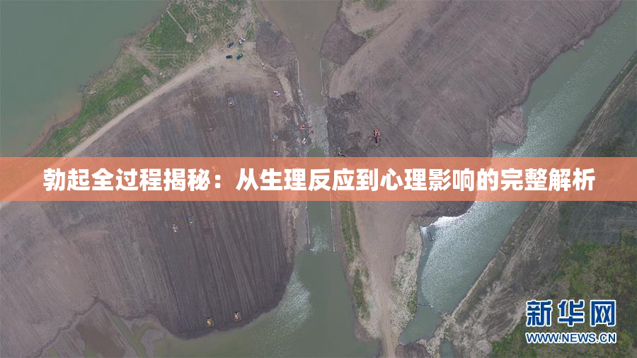 勃起全过程揭秘：从生理反应到心理影响的完整解析