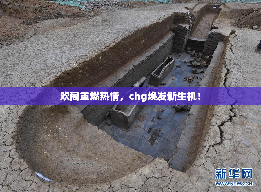 欢阁重燃热情，chg焕发新生机！