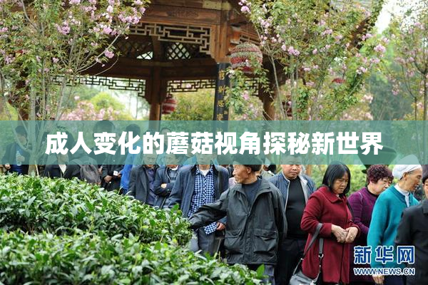 成人变化的蘑菇视角探秘新世界