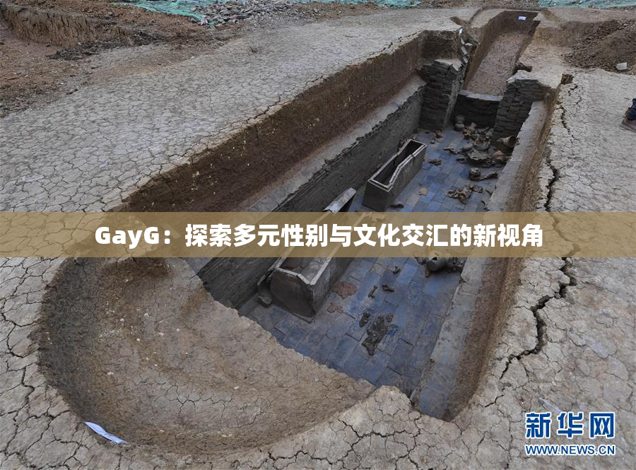 GayG：探索多元性别与文化交汇的新视角