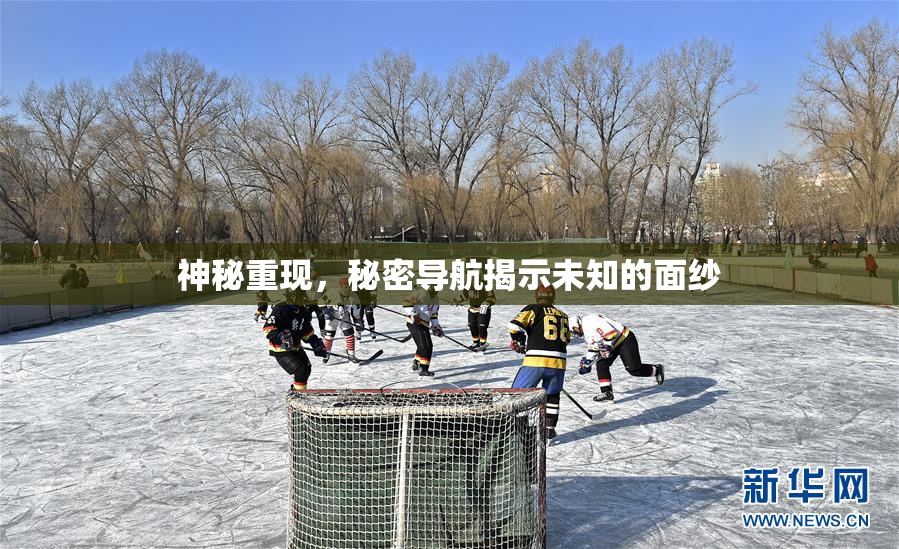神秘重现，秘密导航揭示未知的面纱
