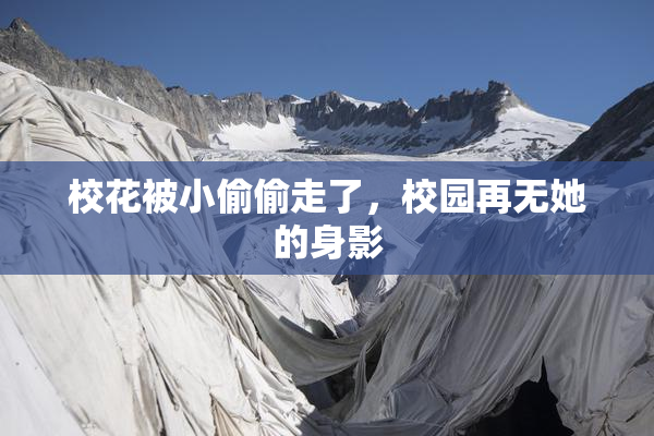 校花被小偷偷走了，校园再无她的身影