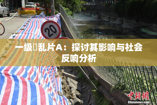一级婬乱片A：探讨其影响与社会反响分析