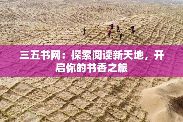 三五书网：探索阅读新天地，开启你的书香之旅