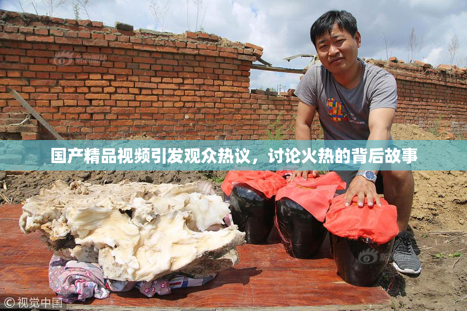 国产精品视频引发观众热议，讨论火热的背后故事