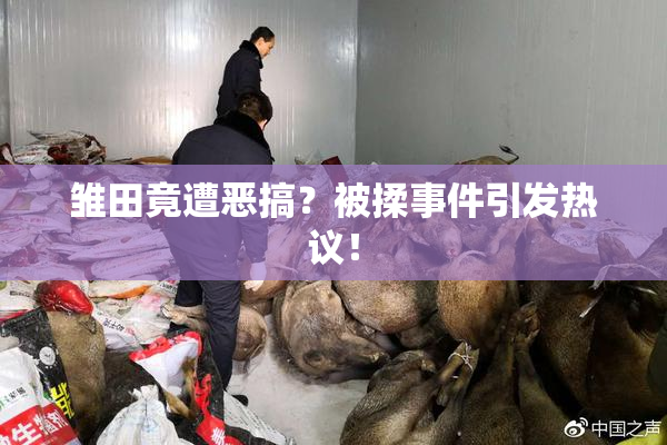 雏田竟遭恶搞？被揉事件引发热议！