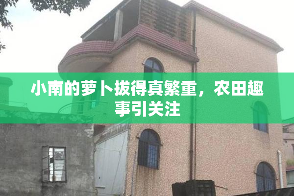小南的萝卜拔得真繁重，农田趣事引关注