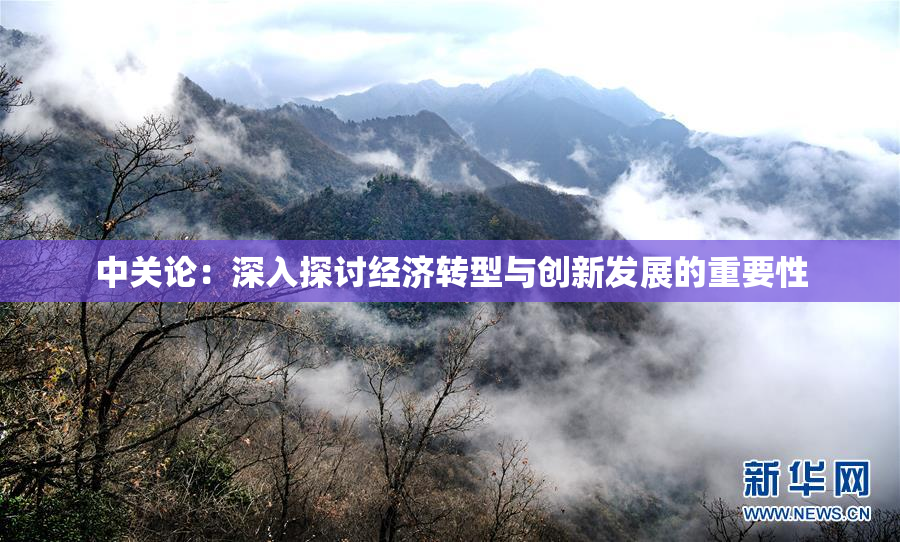 中关论：深入探讨经济转型与创新发展的重要性