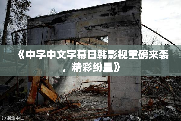 《中字中文字幕日韩影视重磅来袭，精彩纷呈》