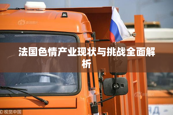 法国色情产业现状与挑战全面解析