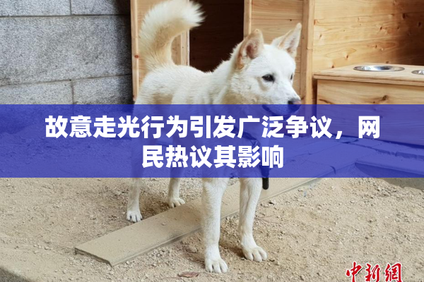 故意走光行为引发广泛争议，网民热议其影响