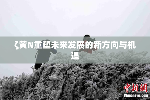 ζ黄Ν重塑未来发展的新方向与机遇