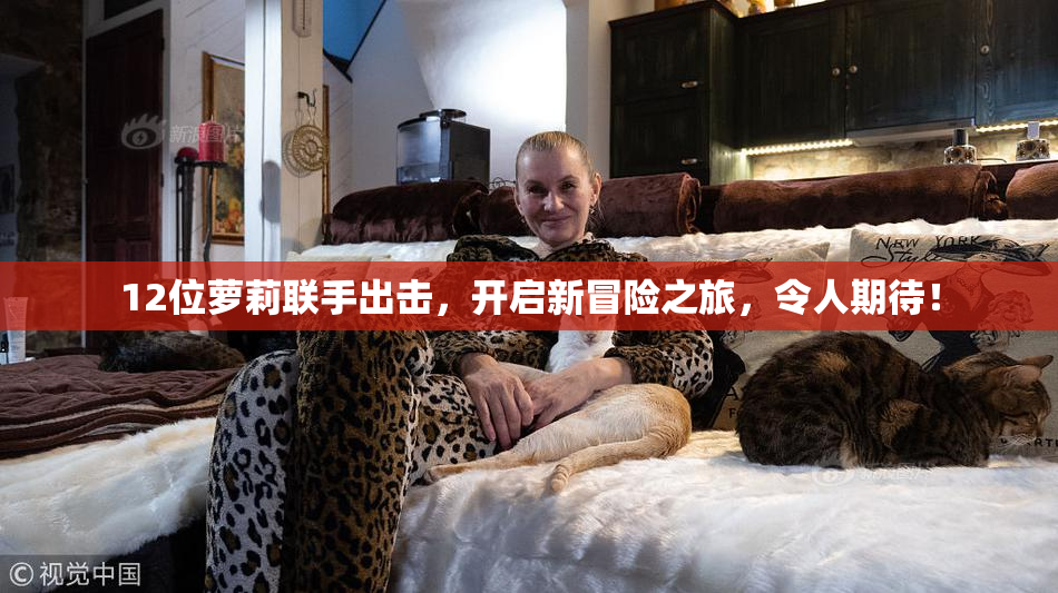 12位萝莉联手出击，开启新冒险之旅，令人期待！