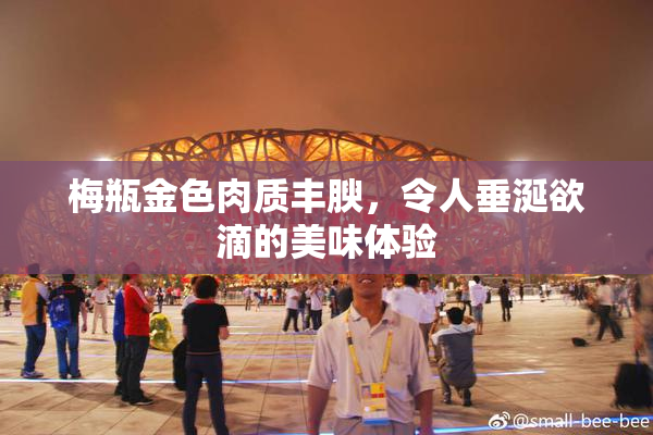 梅瓶金色肉质丰腴，令人垂涎欲滴的美味体验