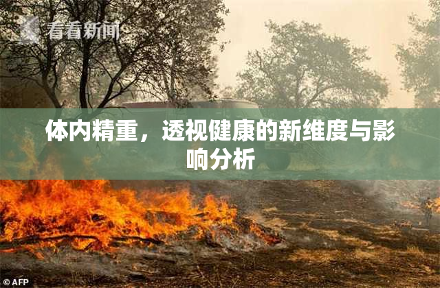 体内精重，透视健康的新维度与影响分析