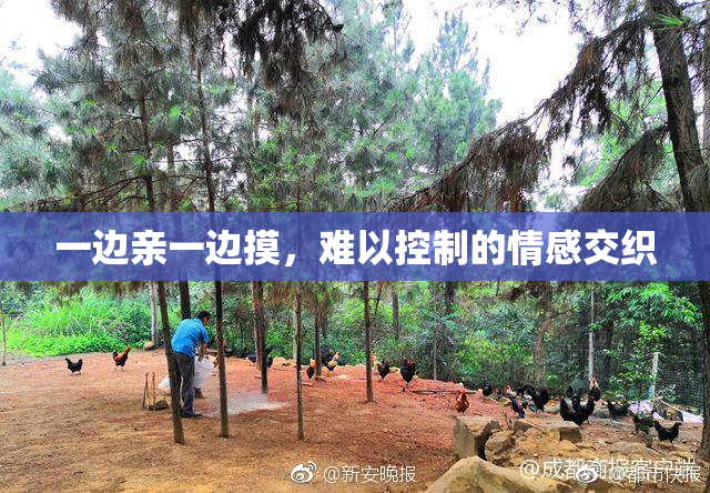 一边亲一边摸，难以控制的情感交织
