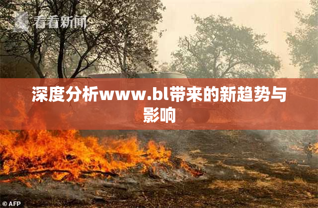 深度分析www.bl带来的新趋势与影响