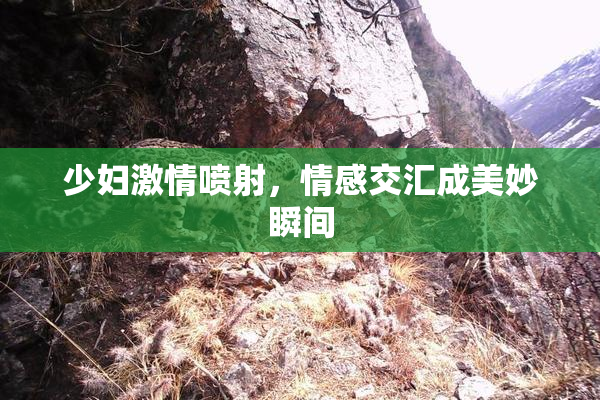 少妇激情喷射，情感交汇成美妙瞬间
