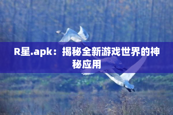 R星.apk：揭秘全新游戏世界的神秘应用