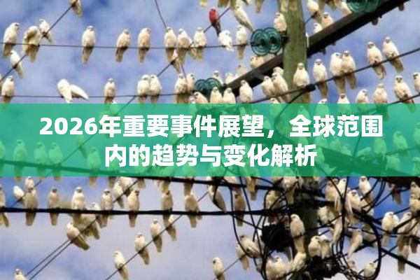 2026年重要事件展望，全球范围内的趋势与变化解析