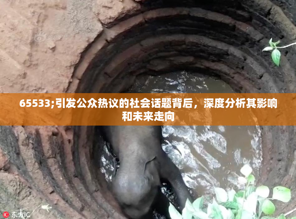 65533;引发公众热议的社会话题背后，深度分析其影响和未来走向