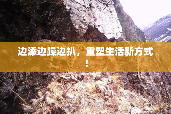 边添边躁边扒，重塑生活新方式！