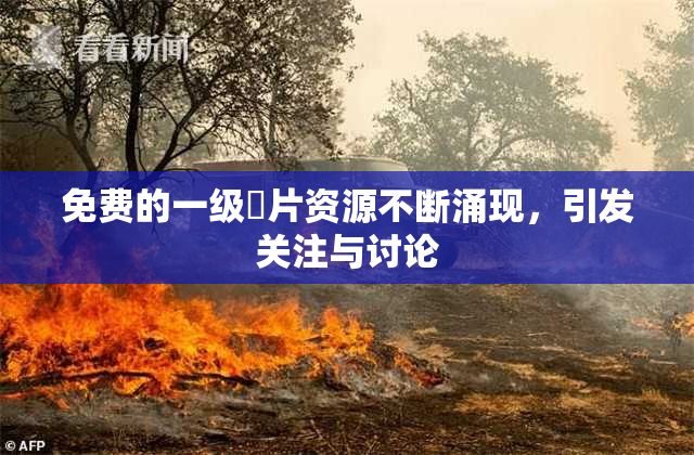 免费的一级婬片资源不断涌现，引发关注与讨论
