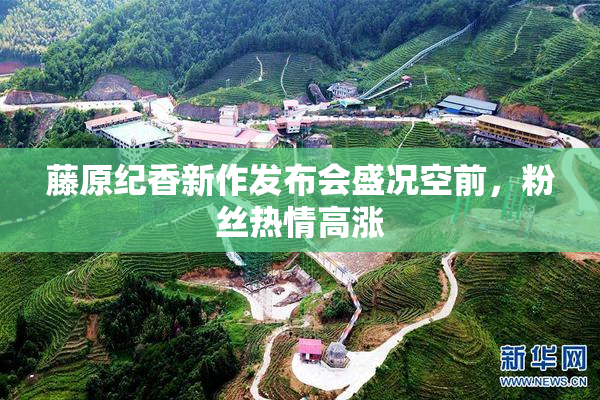 藤原纪香新作发布会盛况空前，粉丝热情高涨