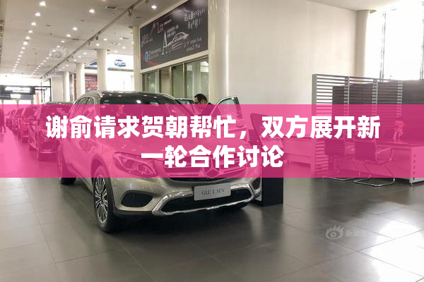 谢俞请求贺朝帮忙，双方展开新一轮合作讨论