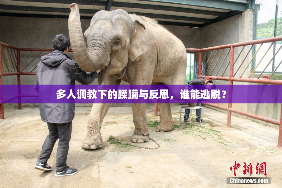 多人调教下的蹂躏与反思，谁能逃脱？