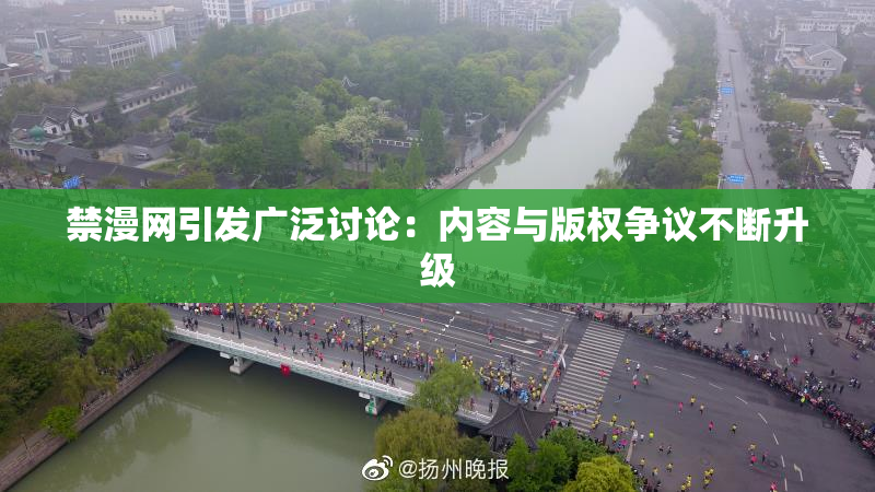 禁漫网引发广泛讨论：内容与版权争议不断升级
