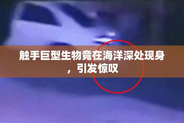 触手巨型生物竟在海洋深处现身，引发惊叹