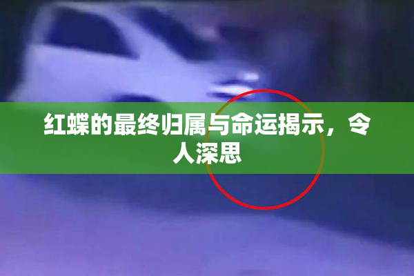 红蝶的最终归属与命运揭示，令人深思