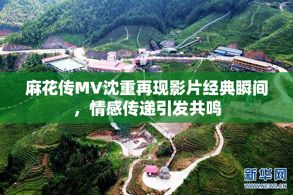 麻花传MV沈重再现影片经典瞬间，情感传递引发共鸣