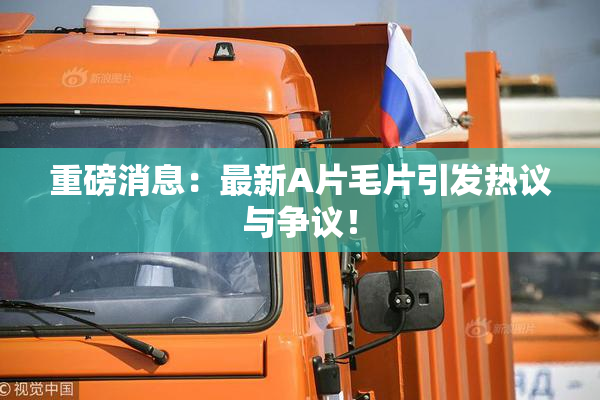 重磅消息：最新A片毛片引发热议与争议！