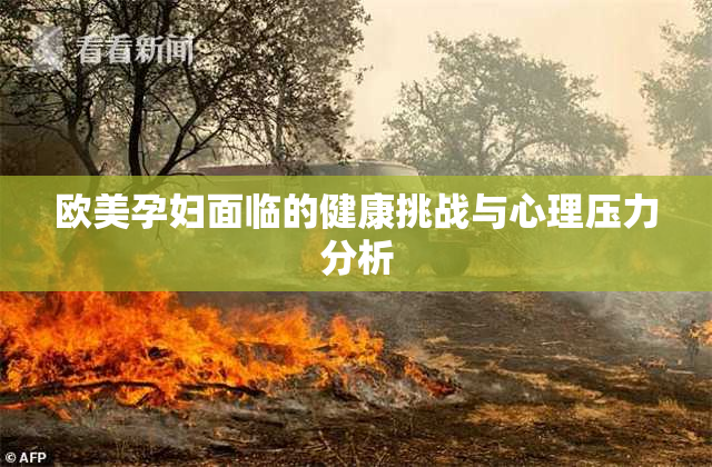 欧美孕妇面临的健康挑战与心理压力分析