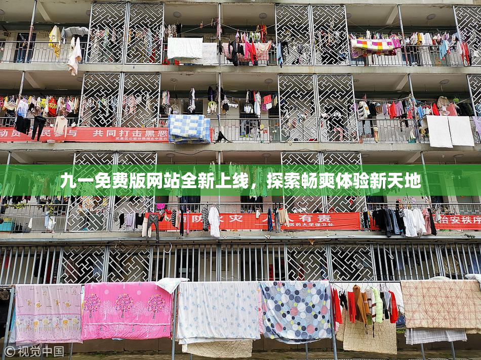 九一免费版网站全新上线，探索畅爽体验新天地