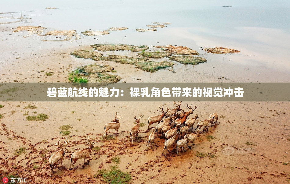 碧蓝航线的魅力：裸乳角色带来的视觉冲击