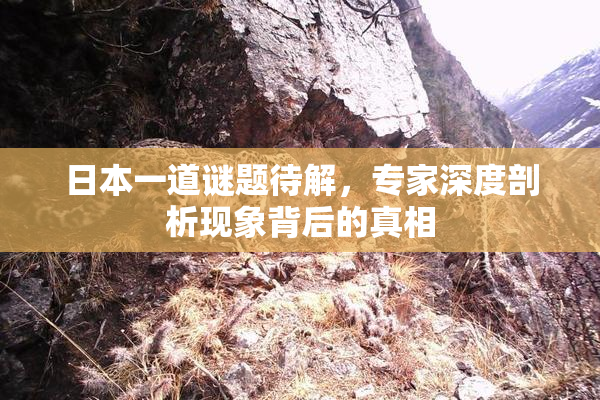 日本一道谜题待解，专家深度剖析现象背后的真相