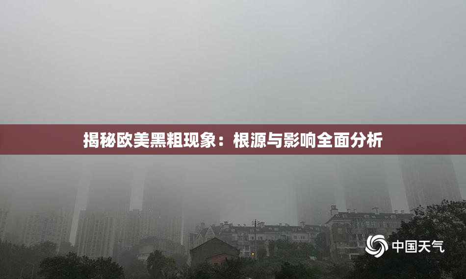 揭秘欧美黑粗现象：根源与影响全面分析