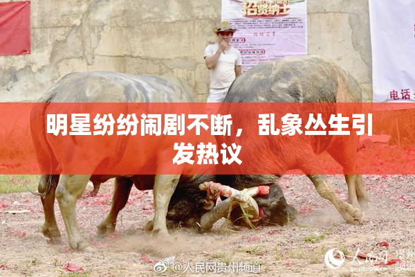 明星纷纷闹剧不断，乱象丛生引发热议